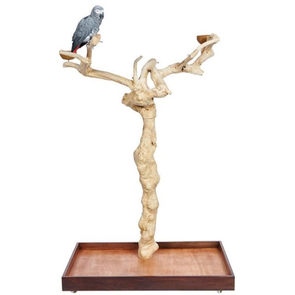 Java Duo Tree – Large – Natural Hardwood Parrot Playstand - Image 3