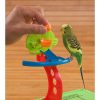 Birdie Basketball Gym – Activity Centre for Smaller Parrots - Image 2