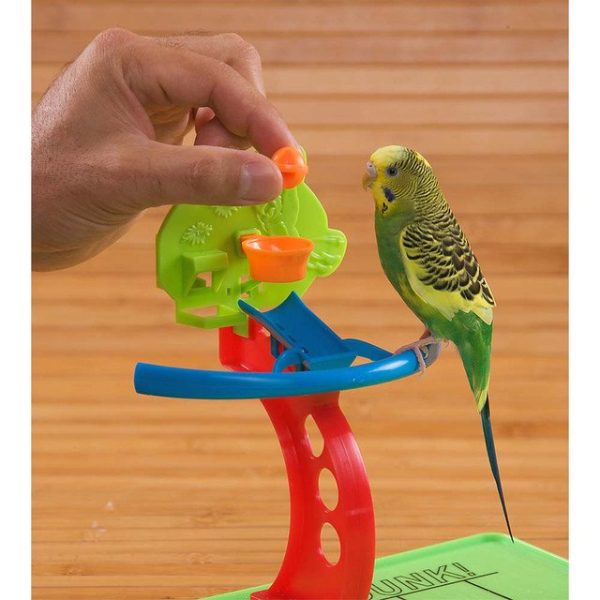 Birdie Basketball Gym – Activity Centre for Smaller Parrots - Image 2