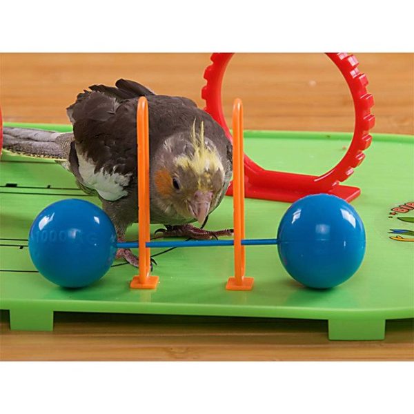 Birdie Basketball Gym – Activity Centre for Smaller Parrots - Image 3