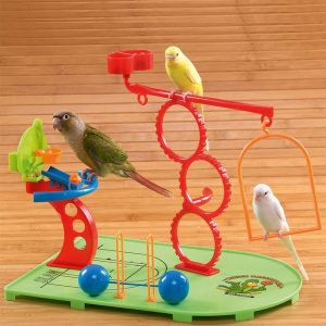 Birdie Basketball Gym – Activity Centre for Smaller Parrots