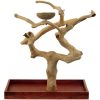 Java Tabletop Tree – Medium – Natural Hardwood Parrot Stand