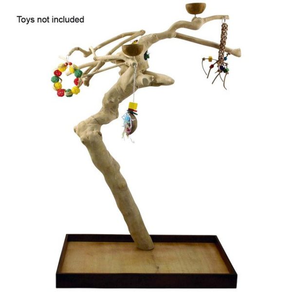 Java Duo Tree – Medium – Natural Hardwood Parrot Playstand - Image 2