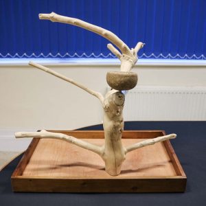 Java Tabletop Tree – Medium – Natural Hardwood