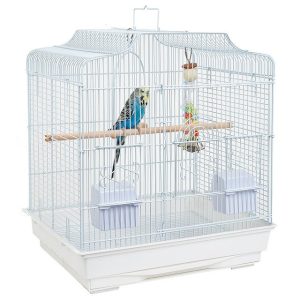 Costa Rica – Small Bird Cage